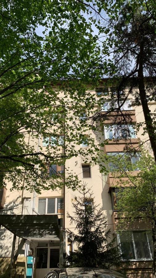 Hall Apartment Suceava